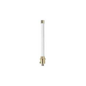 ANT-WDB-ANF-0407