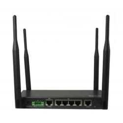 Raisecom R202i
