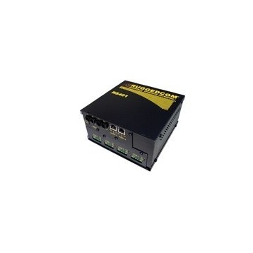 RS401
