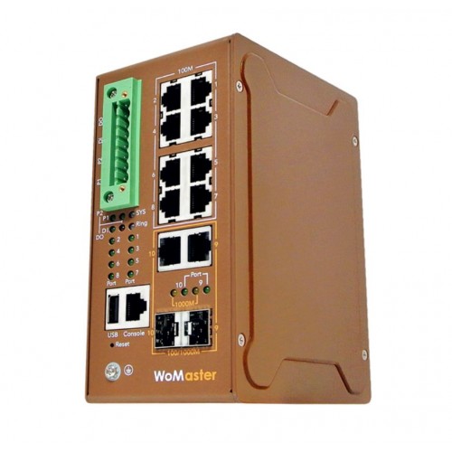 WoMaster DP310